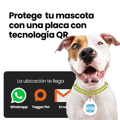 la ubicacion se envia a whatsapp email