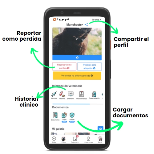 Comprar placa Tagger Pet