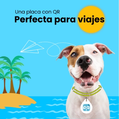 placa con qr perfecta para viajes